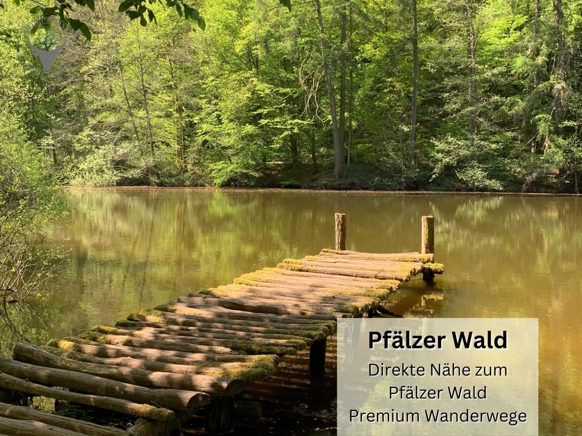 皮尔马森斯Schuhpartment Am Pfaelzer Wald Naehe Outlet Center Zweibruecken公寓 外观 照片